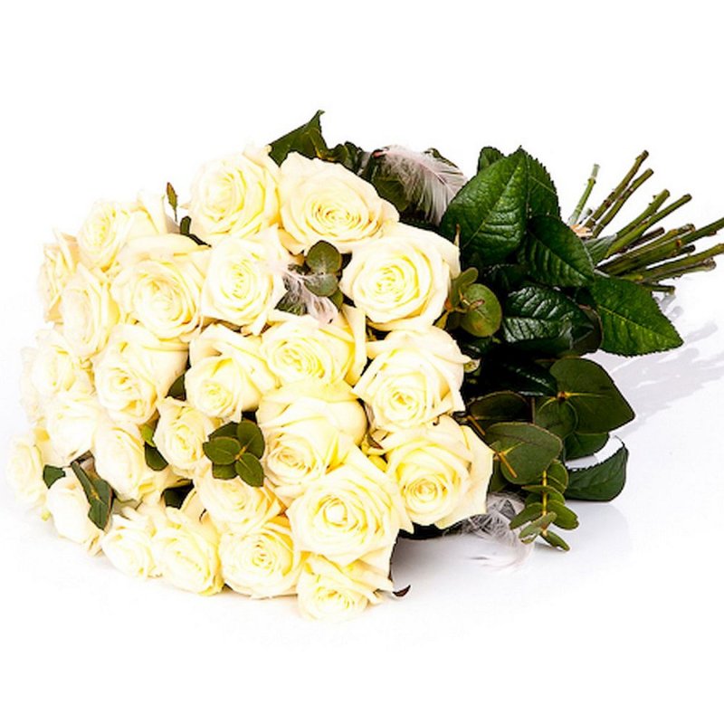 Bílé růže s pírky